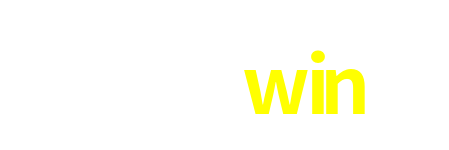 1991win