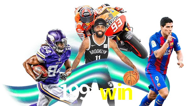 1991win